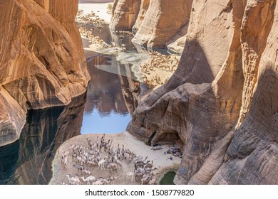 Guelta D'Archei Waterhole, Ennedi Plateau, Chad, Africa