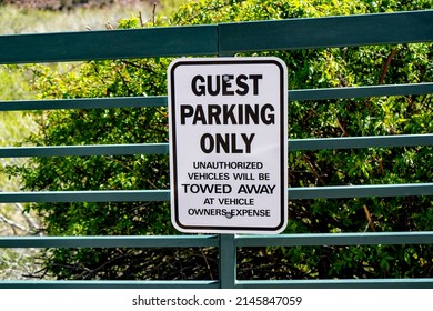 Only guest