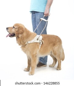 Guide dog and blind man isolated on white