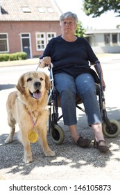 Guide Dog Finished Training