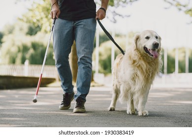 Guide dog helping blind man in the city. Handsome blind guy have rest with golden retriever in the city.