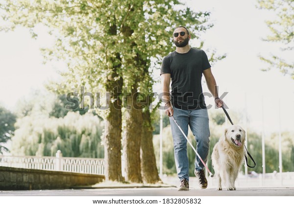 Guide dog helping\
blind man in the city. Handsome blind guy have rest with golden\
retriever in the city.
