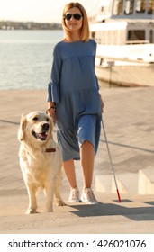 Guide Dog Helping Blind Person With Long Cane Going Up Stairs Outdoors