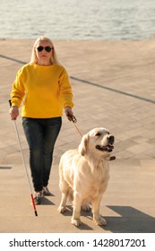 Guide Dog Helping Blind Person With Long Cane Going Up Stairs Outdoors