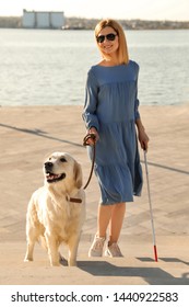 Guide Dog Helping Blind Person With Long Cane Going Up Stairs Outdoors