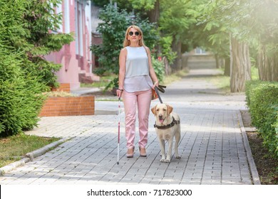 Guide dog helping blind woman in the city