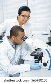 Guiding Her Intern. Senior Female Scientist Watching Her Male African Intern Working On A Microscope At The Lab Teamwork Education Mentoring Study Research Science Biologist Profession Clinician