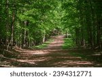 Guilford Courthouse National Military Park in North Carolina