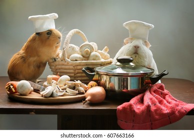 Guinea Pig Chef Cooking In Animal Kitchen