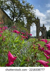 Guisborough Priory Set In A Bed Of Flowers