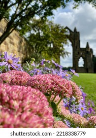 Guisborough Priory Set In A Bed Of Flowers