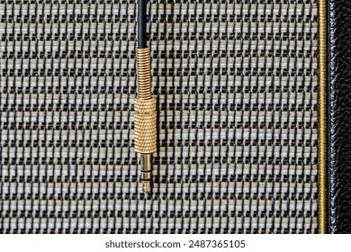 Guitar amplifier with guitar cable and plug