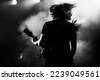 guitar silhouette