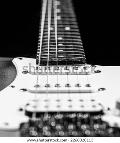 Guitar strings, close up. Electric Bass Guitars. Electric guitar. Close up of music guitar. Stringed electric musical instrument. Black and white.
