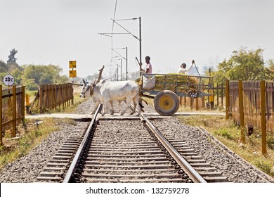 GUJARAT, INDIA - MARCH, 2013: Railroad tracks where a bullock cart carrying farm produce crosses a dangerous barrierless unmanned track typical of infrastructure on March 1, 2013 in Gujarat, India.