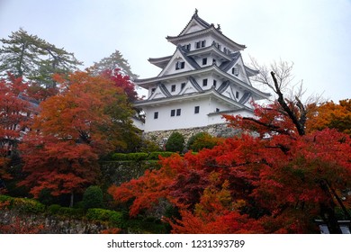 Gujo Hachiman Castle (郡上八幡城, Gujō-Hachimanjō) red autumnal leaves, Gifu, Japan