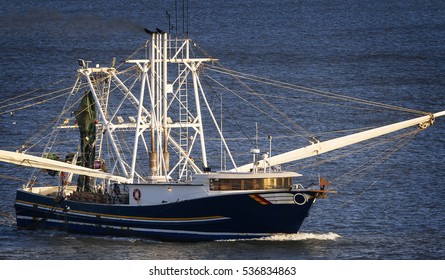 Gulf Coast Shrimp Boat Near Galveston