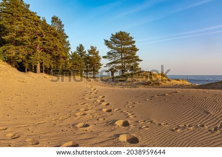 Image, Stock Photo wild Baltic coast in Poland