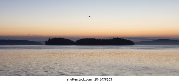 Gulf Islands On The West Coast Of Pacific Ocean. Canadian Nature Landscape Background. Summer Sunrise. Victoria, Vancouver Island, BC, Canada.