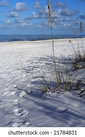 Gulf Of Mexico And Seaoats In Madeira Beach Florida.