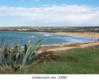 . Gulf of Sampieri (Sicily), with a zammarra’s plant in foreground. Golfo di Sampieri (Sicilia), con una zammarra in primo piano.