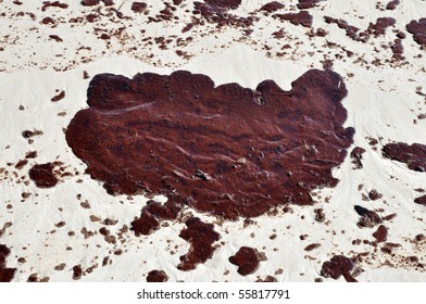 GULF SHORES, ALABAMA - JUNE 12: Gulf Oil Spill Is Shown On A Beach On June 12, 2010 In Gulf Shores, Alabama.