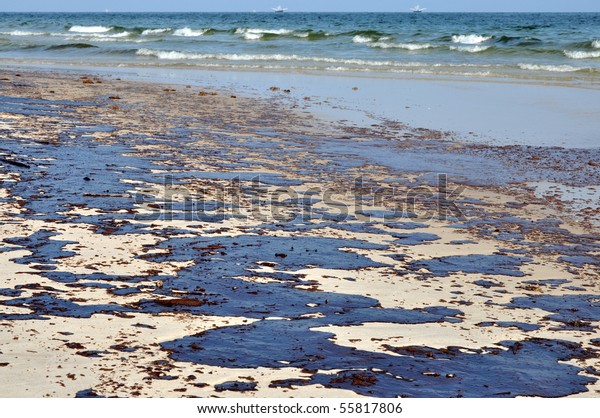 GULF SHORES,\
ALABAMA - JUNE 12: Gulf oil spill is shown on a beach on June 12,\
2010 in Gulf Shores,\
Alabama.