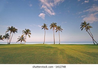 Gulf Waterfront Lawn And Palms, Florida