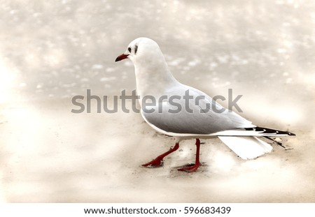 Similar – Image, Stock Photo all daft … North Sea