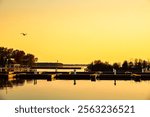 A gull flies over the placid waters of Orillia Harbour at daybreak. The mooring slips remain empty as the summer boating season on Lake Couchiching has not yet begun.