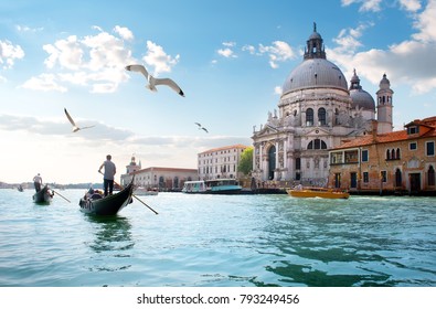 Gulls over Grand Canal