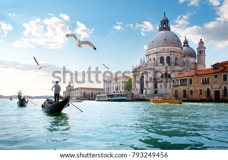 Gulls over Grand Canal