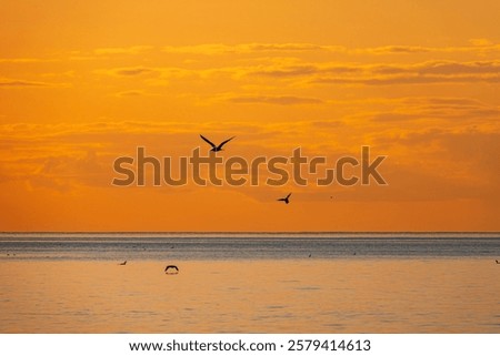 Similar – Image, Stock Photo Feels like Canada