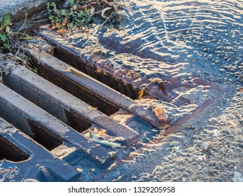 Gully Filled With Water 