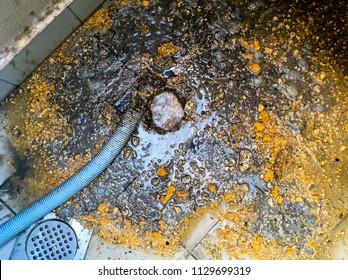 Imagenes Fotos De Stock Y Vectores Sobre Floor Drain Clog