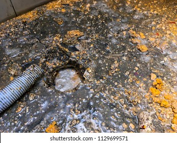 Imagenes Fotos De Stock Y Vectores Sobre Floor Drain Clog