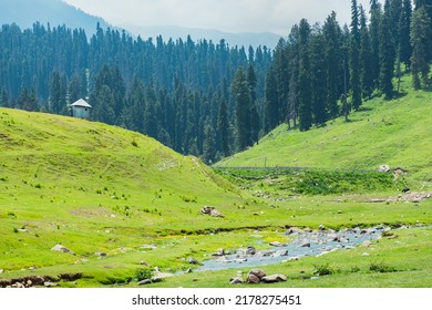 Gulmarg, Baisaran Valley( Mini Switzerland) Pahalgam, Jammu and Kashmir, India. - Shutterstock ID 2178275451