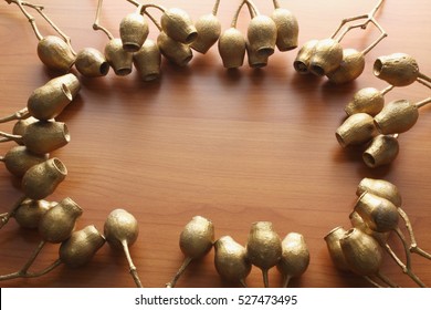 Gum Nuts On Wooden Background