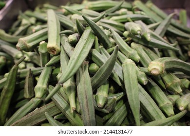 Gumbo, Okra Fresh From Farm