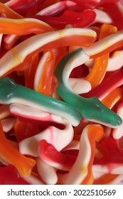 Gummy Colourful Candy Shark Confectionery Lolly