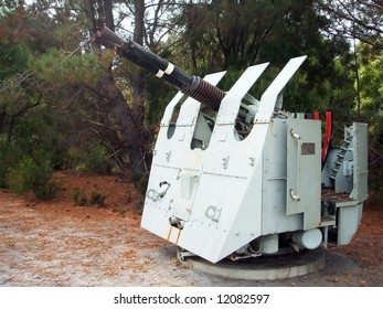 Gun