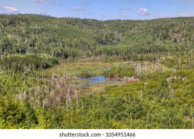 118 Gunflint Trail Images Stock Photos Vectors Shutterstock   Gunflint Trail 50 Mile Road 260nw 1054951466 