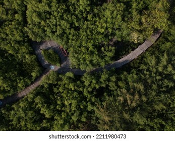 Gunung Anyar Mangrove Tourism Is Being Renovated