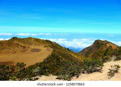 Gunung Lawu, East Java, Indonesia
Beautiful And Exciting Mountain.