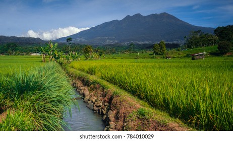 Gunung Lawu - Mountain With Green Rice Field, Small River And Blue Sky