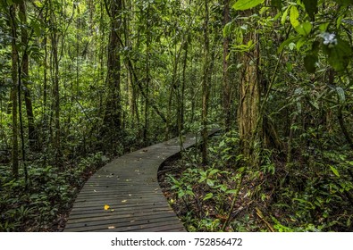 Gunung Mulu National Park