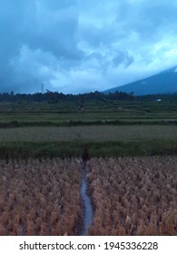 Gunung Sawah Padi Aliran Air