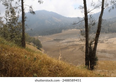 Gunung Semeru, located in East Java, Indonesia, is the highest volcano on the island of Java and one of the most iconic peaks in the Indonesian archipelago. 