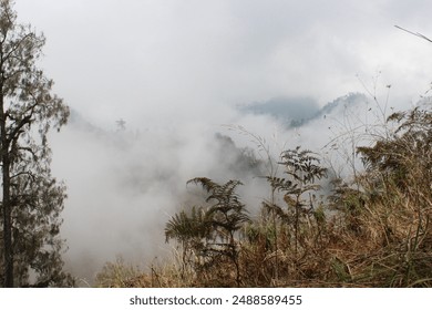 Gunung Semeru, located in East Java, Indonesia, is the highest volcano on the island of Java and one of the most iconic peaks in the Indonesian archipelago. 
