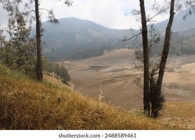 Gunung Semeru, located in East Java, Indonesia, is the highest volcano on the island of Java and one of the most iconic peaks in the Indonesian archipelago. 